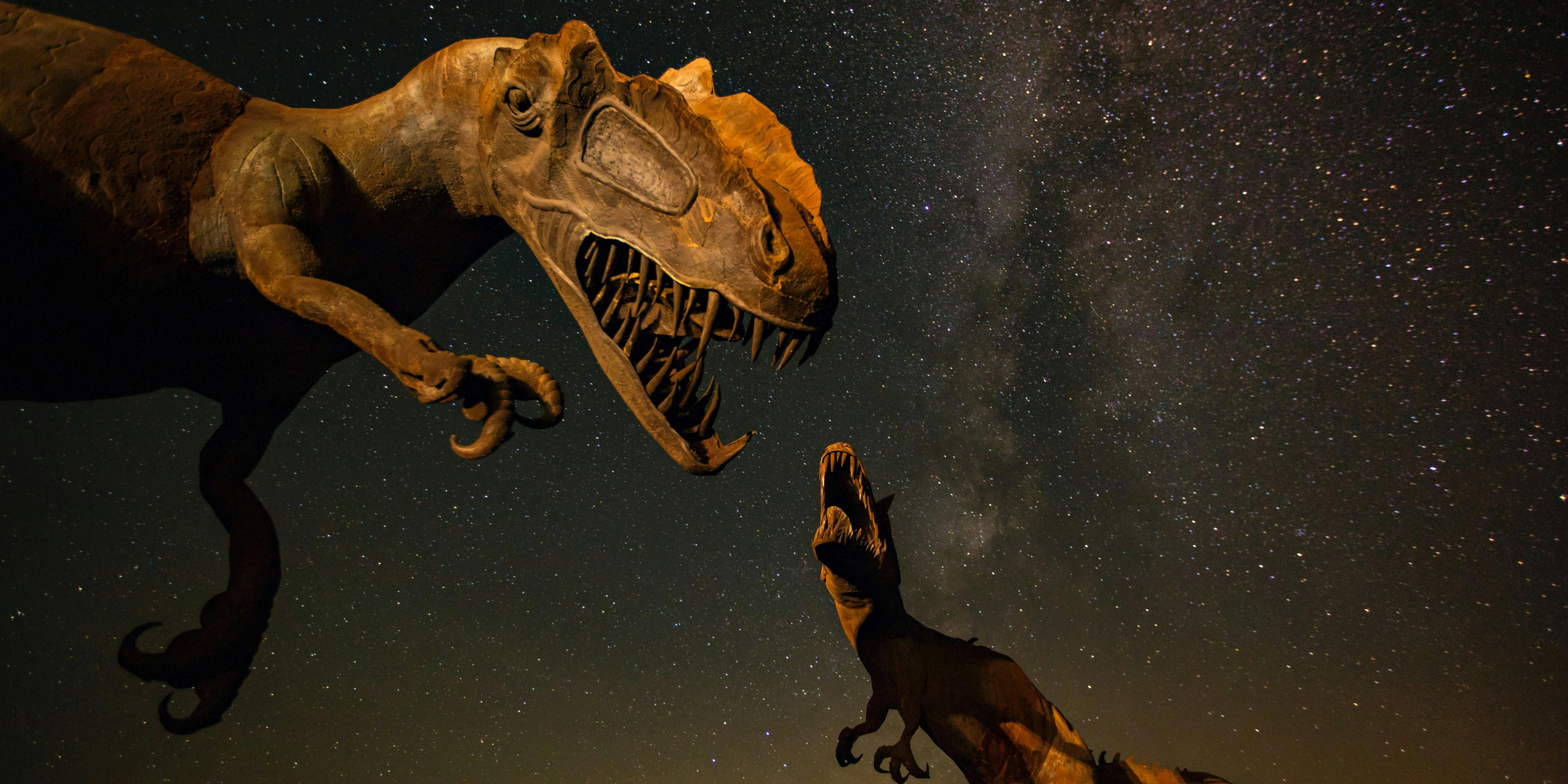 5 Kiedy żyły dinozaury