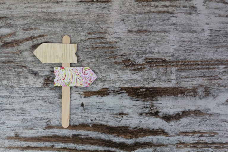 Encyklopedia sprzeczności