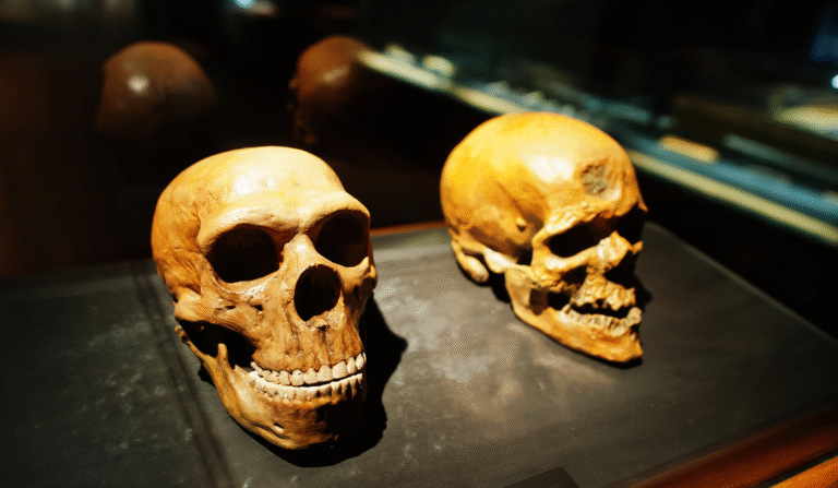 Naukowcy o teorii ewolucji