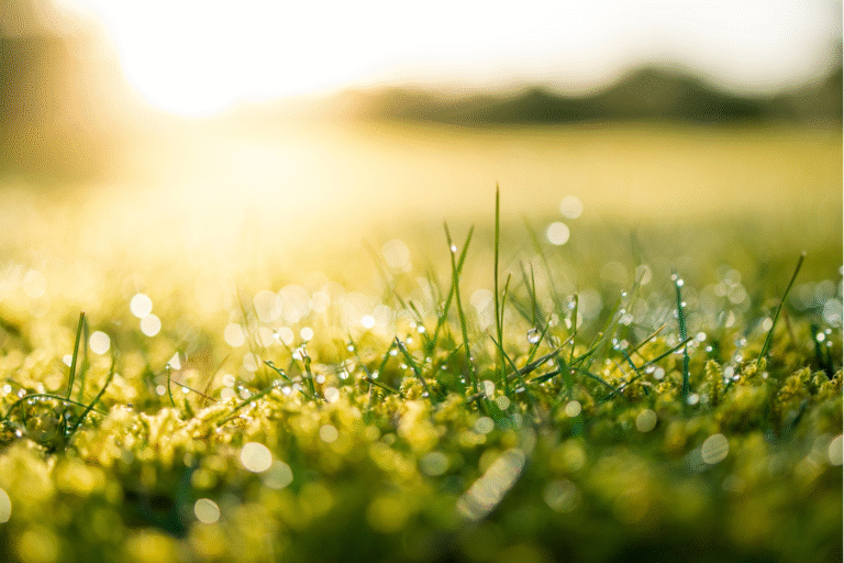 Odwieczne prawa przyrody