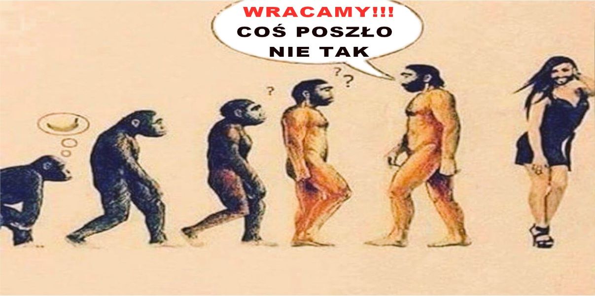 Coś poszło nie tak2